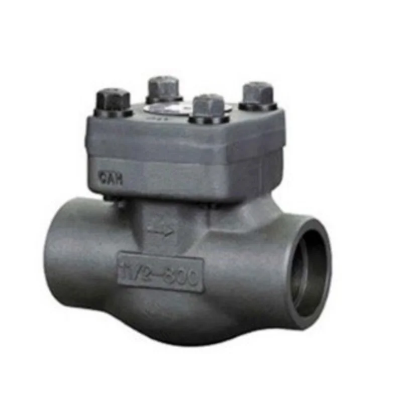 Forged steel check valve